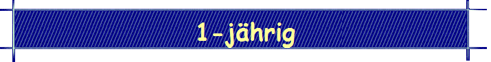 1-j�hrig