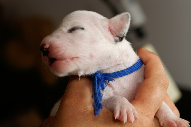 PICT4243_2_L_Bildgr��e �ndern