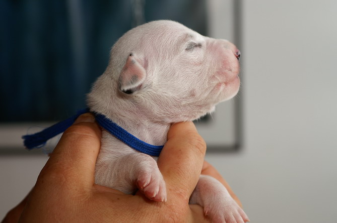 PICT4244_2_R_Bildgr��e �ndern