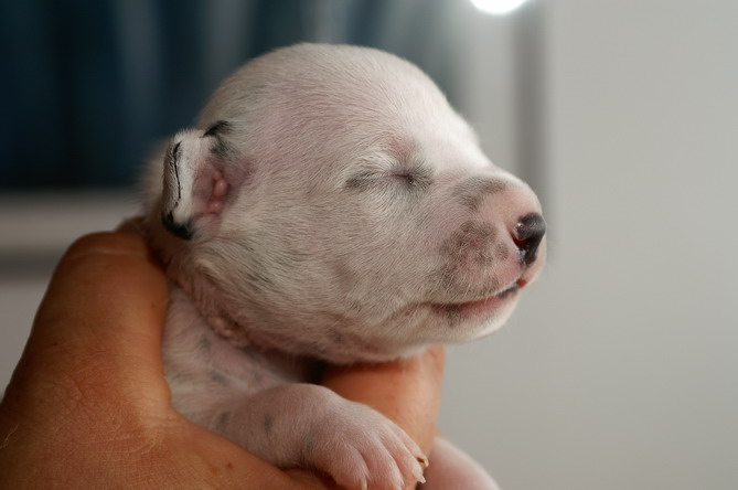 PICT4248_6_R_Bildgr��e �ndern