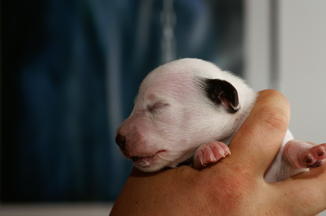 PICT4261_8_L_Bildgr��e �ndern