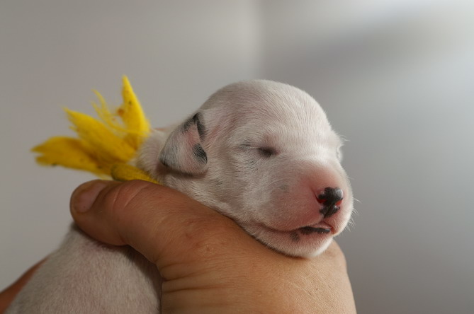 PICT4271_3_R_Bildgr��e �ndern