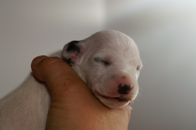 PICT4276_5_R_Bildgr��e �ndern