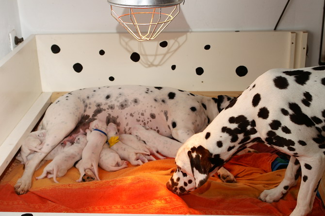 PICT4287_Bildgr��e �ndern