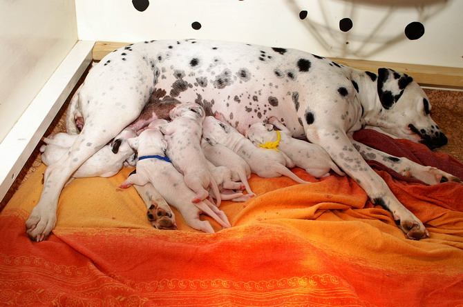 PICT4289_Bildgr��e �ndern