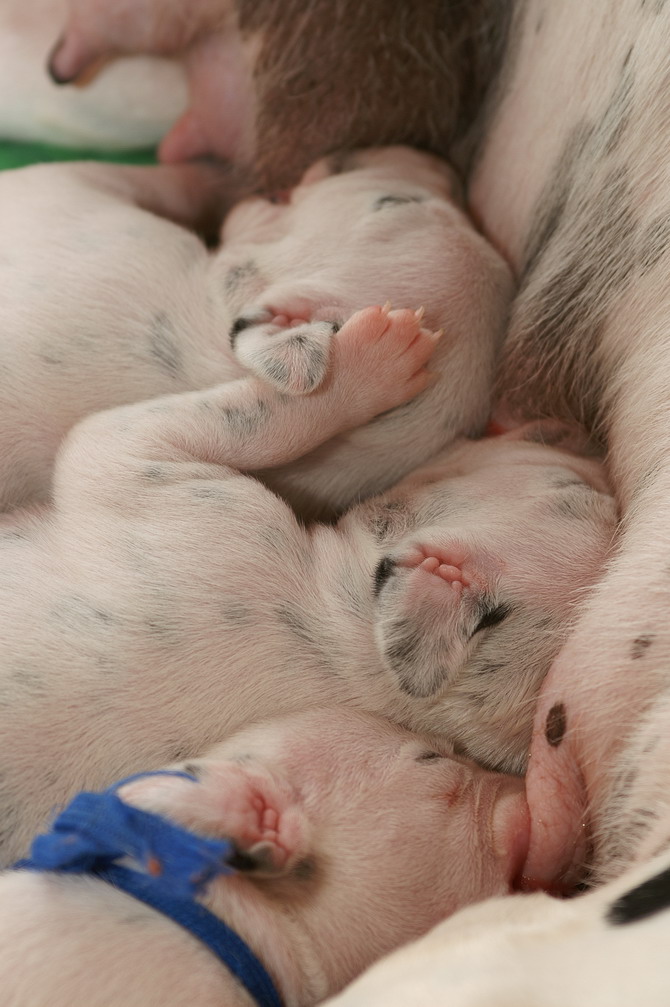 PICT4297_Bildgr��e �ndern