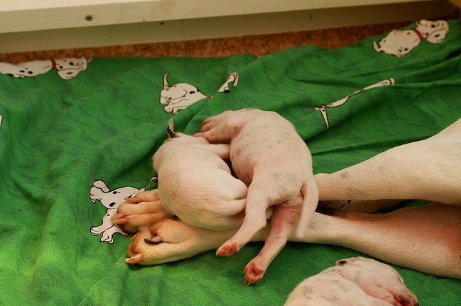 PICT4307_Bildgr��e �ndern