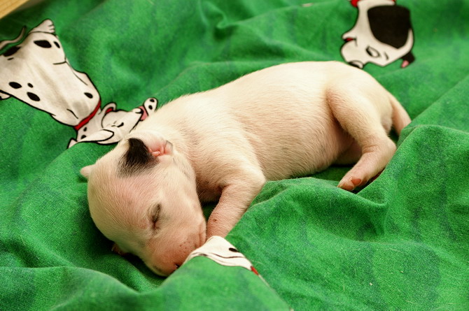 PICT4310_Bildgr��e �ndern