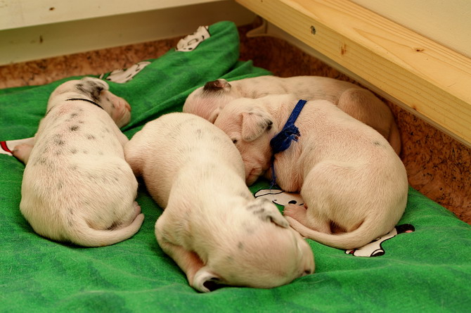 PICT4316_Bildgr��e �ndern