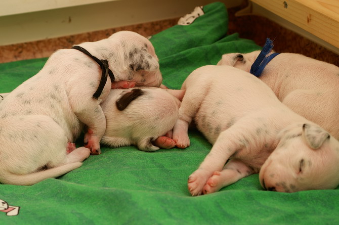 PICT4322_Bildgr��e �ndern