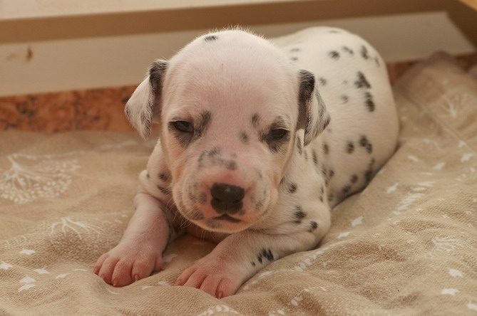 01_PICT4510_Bildgr��e �ndern