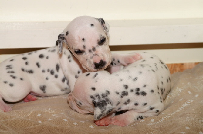 03_PICT4503_Bildgr��e �ndern