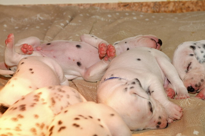 10_PICT4564_Bildgr��e �ndern