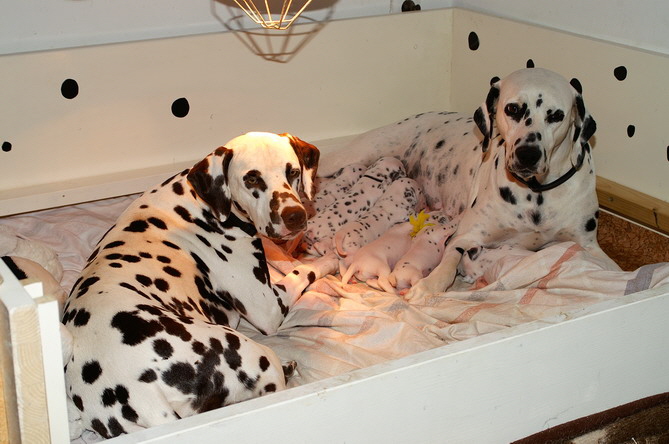 12_PICT4499_Bildgr��e �ndern