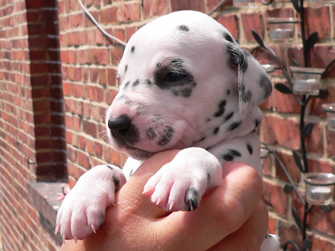 01_P1190930_Bildgr��e �ndern