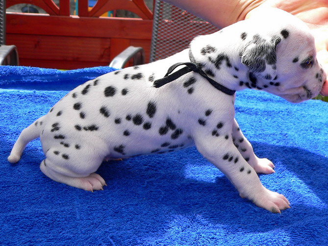 01_P1190932_Bildgr��e �ndern