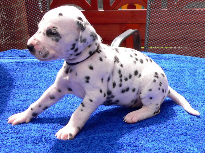 01_P1190939_Bildgr��e �ndern