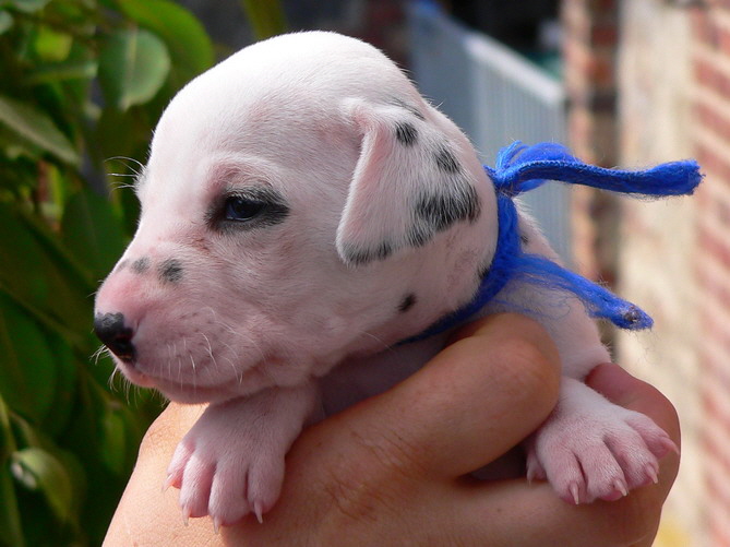 02_P1190840_Bildgr��e �ndern