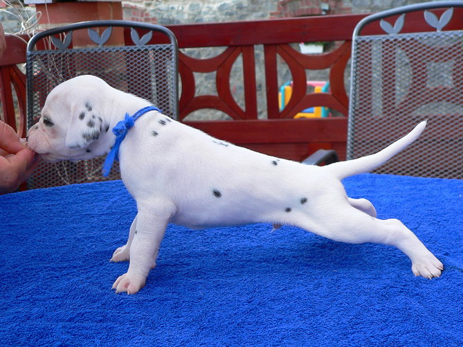 02_P1190845_Bildgr��e �ndern