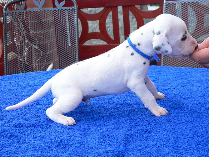 02_P1190847_Bildgr��e �ndern