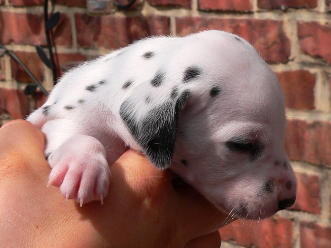 03_P1190857_Bildgr��e �ndern