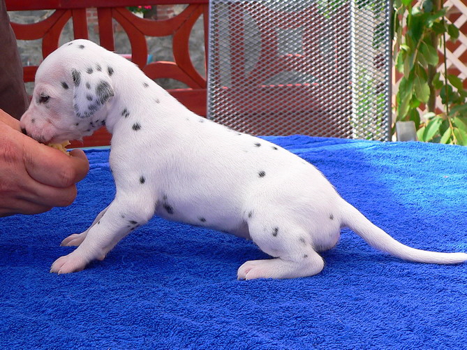 03_P1190859_Bildgr��e �ndern