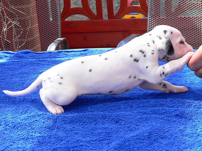 03_P1190863_Bildgr��e �ndern