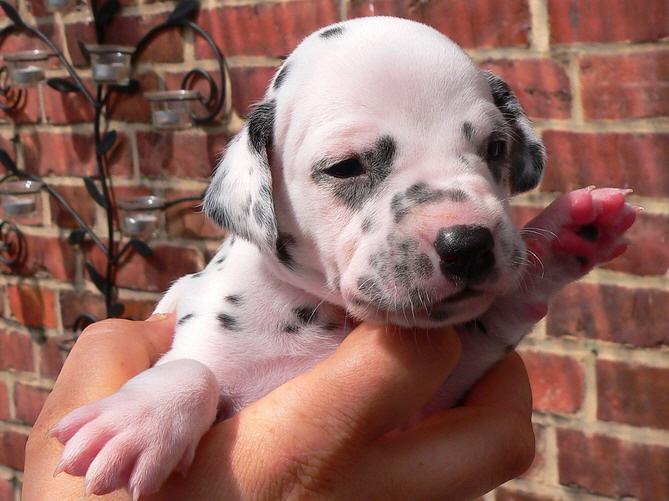 04_P1190867_Bildgr��e �ndern