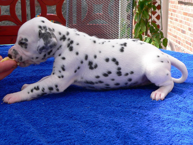 04_P1190872_Bildgr��e �ndern