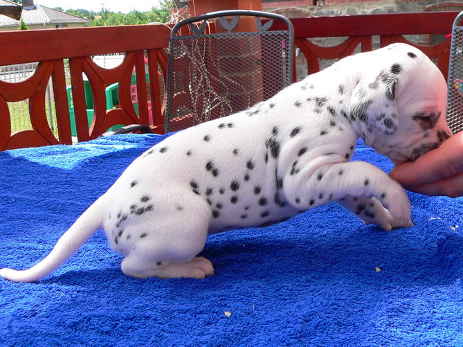 04_P1190876_Bildgr��e �ndern