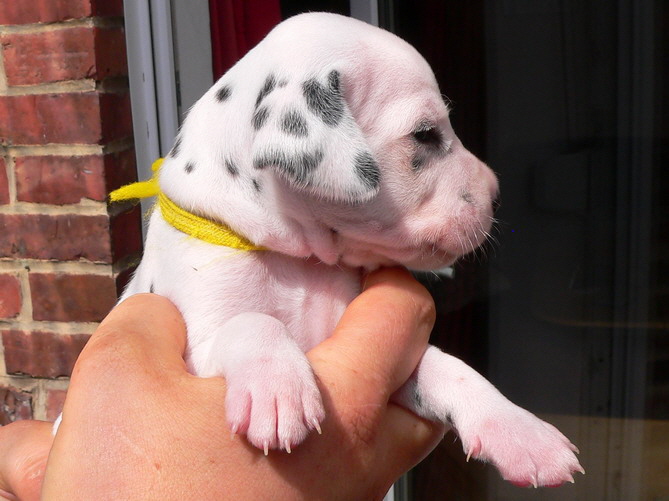 05_P1190881_Bildgr��e �ndern