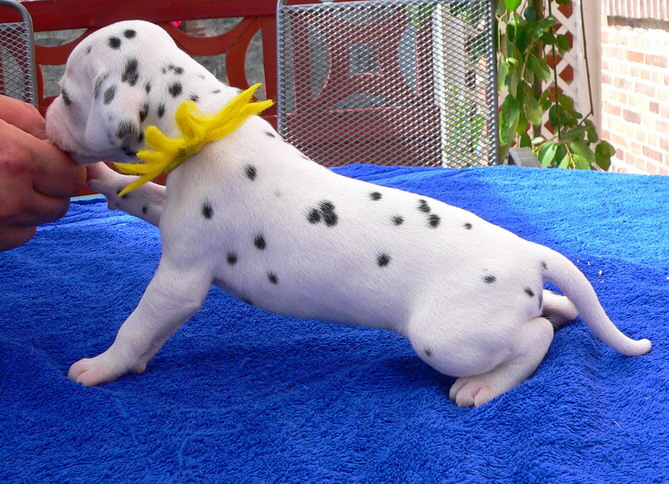 05_P1190886_Bildgr��e �ndern