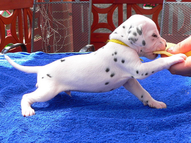 05_P1190890_Bildgr��e �ndern