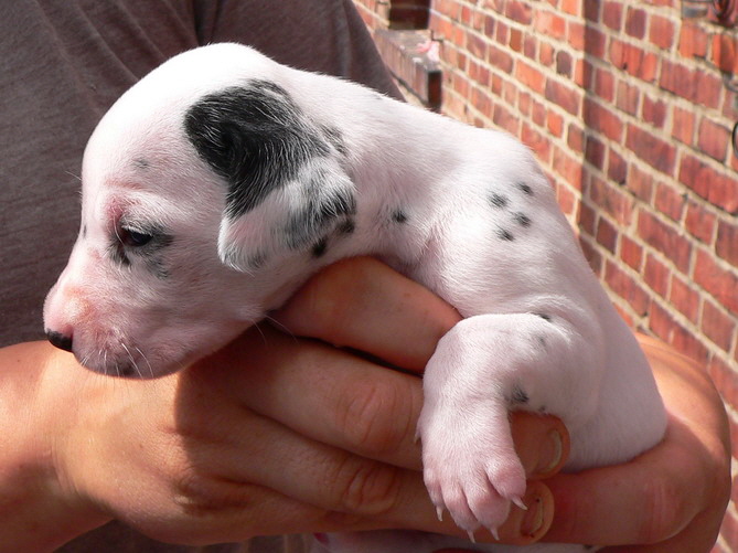 06_P1190893_Bildgr��e �ndern