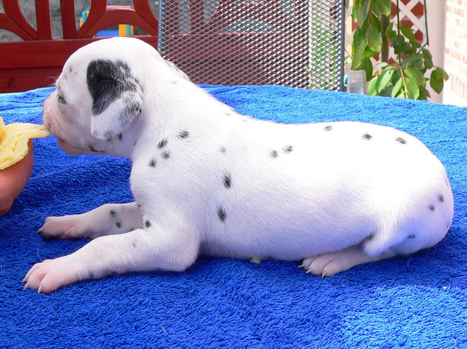 06_P1190894_Bildgr��e �ndern