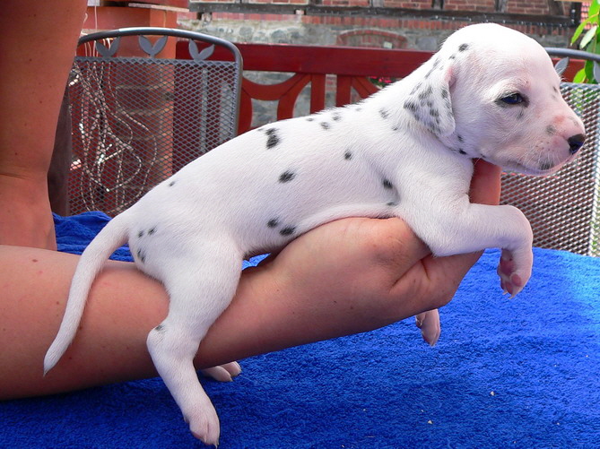 06_P1190902_Bildgr��e �ndern