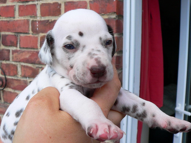 07_P1190903_Bildgr��e �ndern