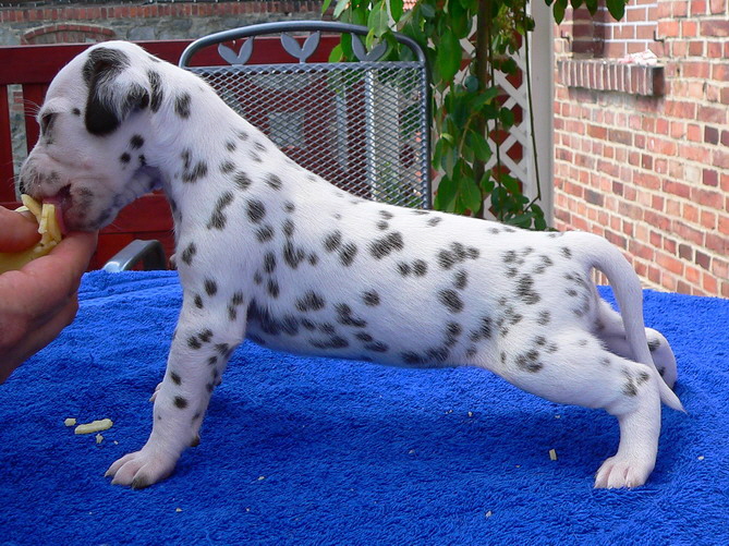 07_P1190913_Bildgr��e �ndern