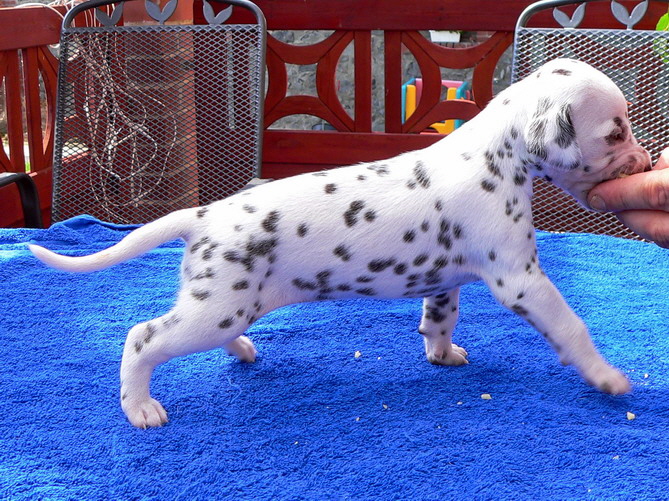 07_P1190916_Bildgr��e �ndern