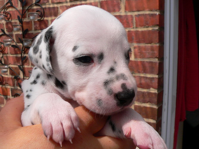 08_P1190920_Bildgr��e �ndern