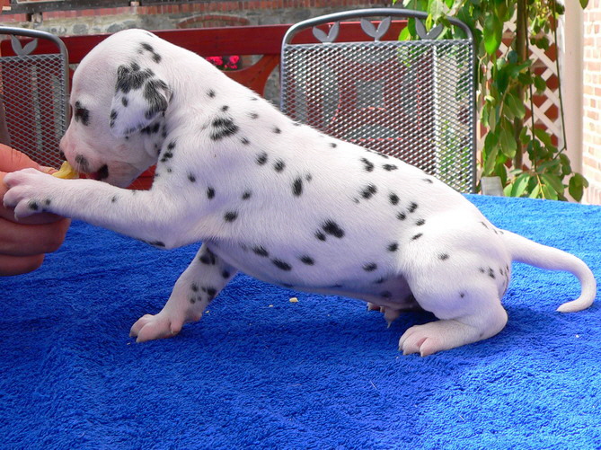 08_P1190922_Bildgr��e �ndern