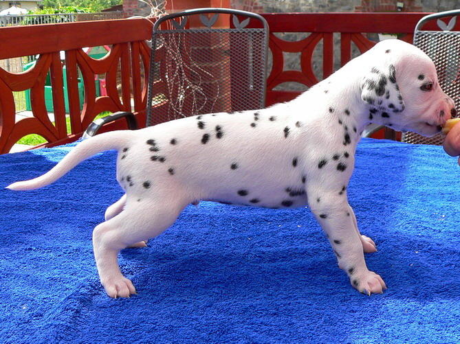 08_P1190925_Bildgr��e �ndern