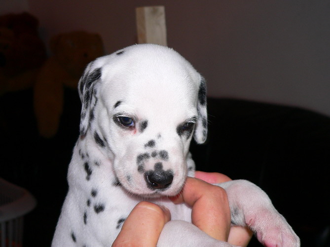 P1200033_eiko_Bildgr��e �ndern