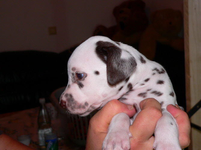 P1200035_esther_Bildgr��e �ndern