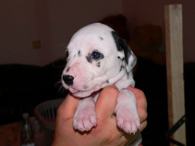 P1200037_kopfohren_Bildgr��e �ndern