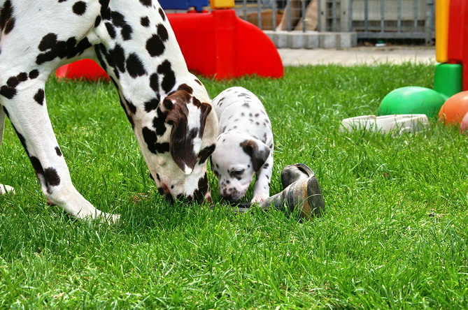 PICT4742_Bildgr��e �ndern