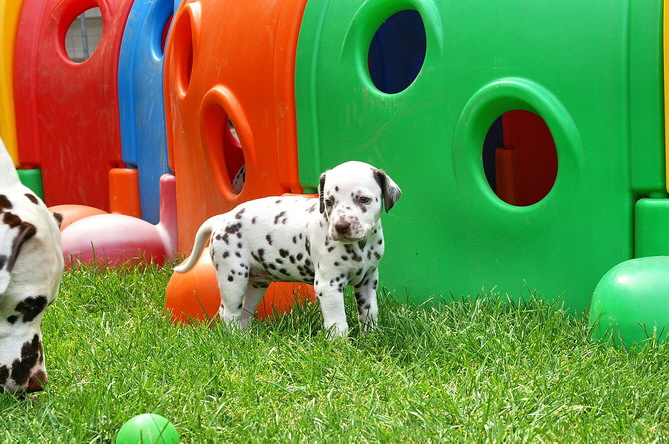 PICT4743_esther_Bildgr��e �ndern