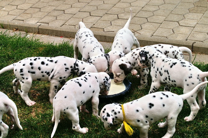 PICT4747_Bildgr��e �ndern