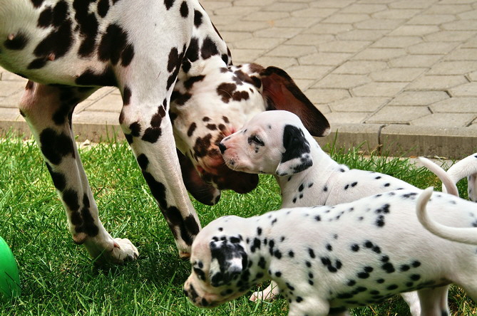 PICT4750_Bildgr��e �ndern