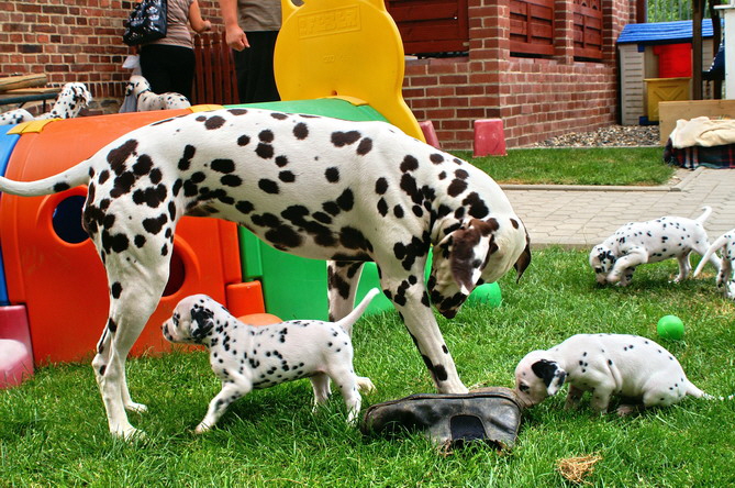 PICT4756_Bildgr��e �ndern